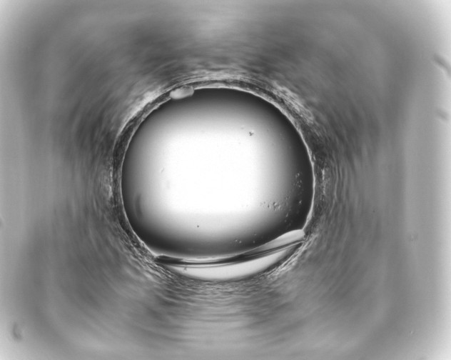 X0000093751165200710301119