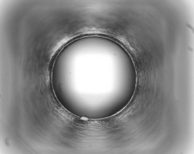 X0000093751167200710301119
