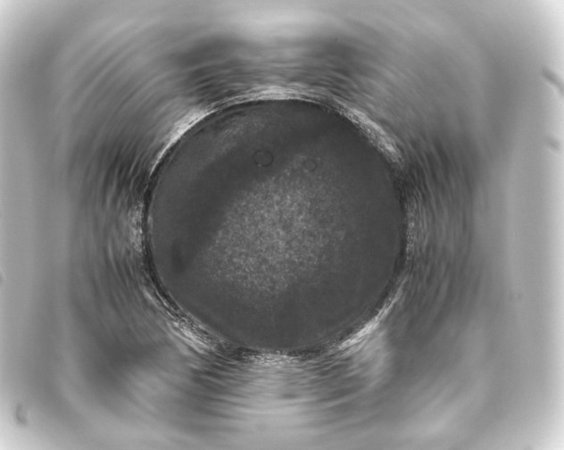 X0000093751170200710301119