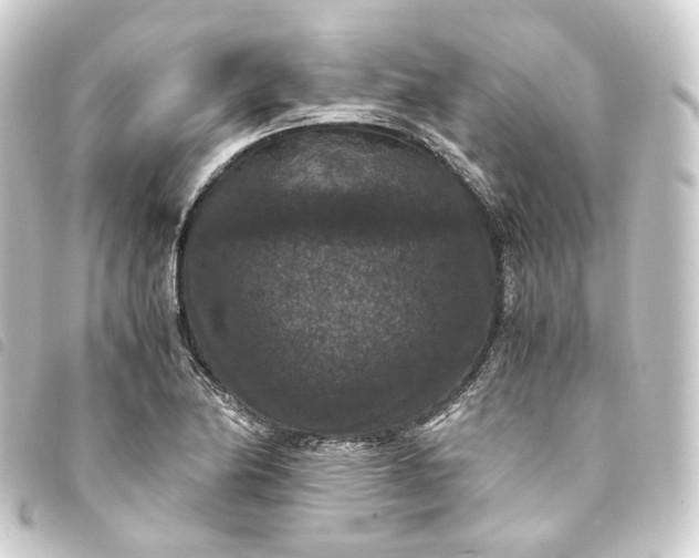 X0000093751174200710301119