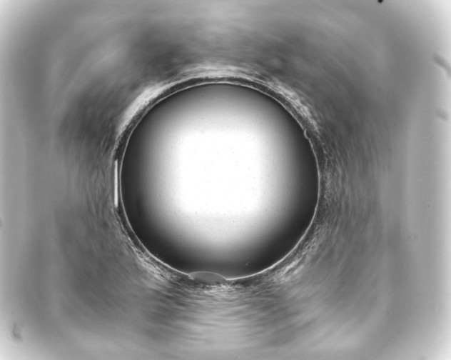 X0000093751175200710301119
