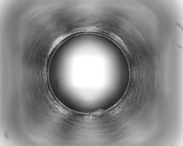 X0000093751176200710301119