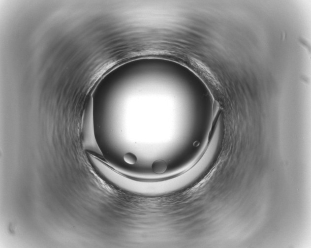 X0000093751177200710301119