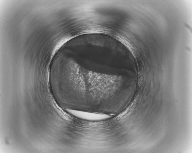 X0000093751179200710301119