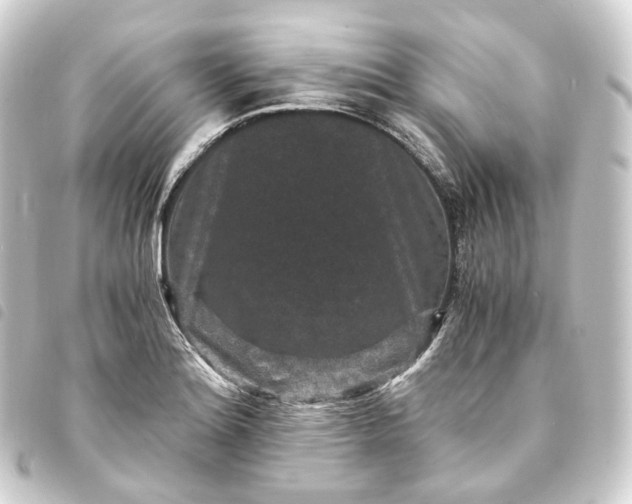 X0000093751180200710301119