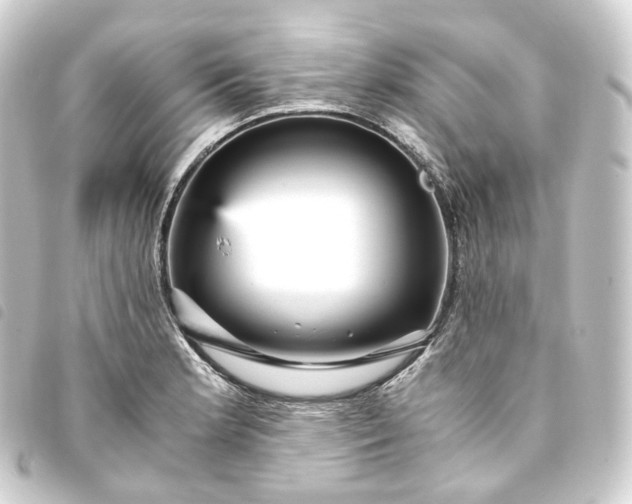 X0000093751181200710301119