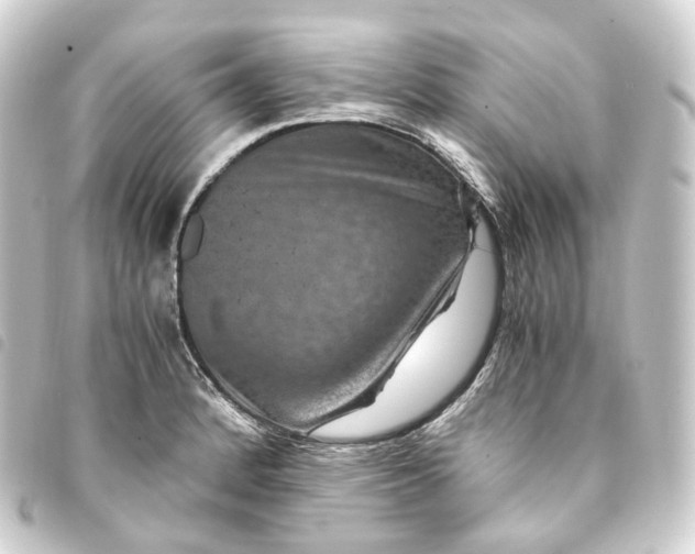 X0000093751184200710301119