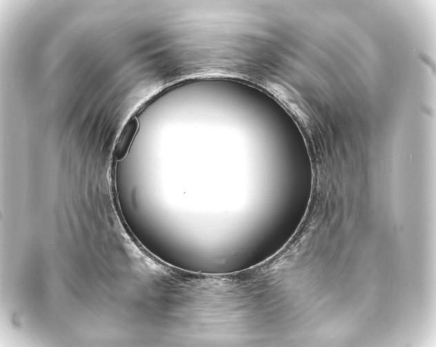 X0000093751189200710301119