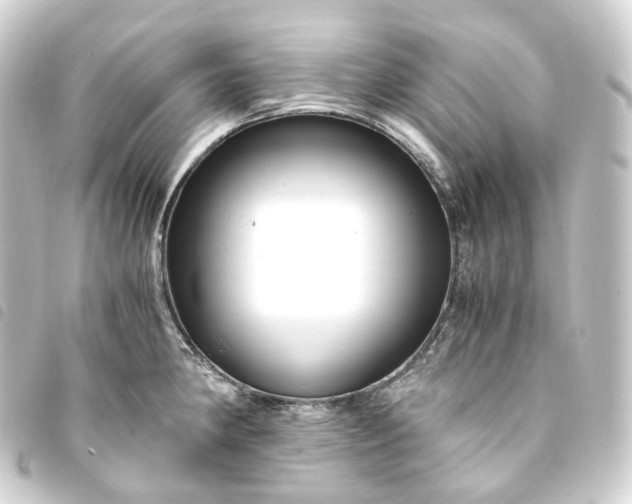 X0000093751190200710301119