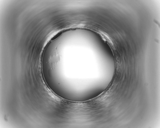 X0000093751192200710301119