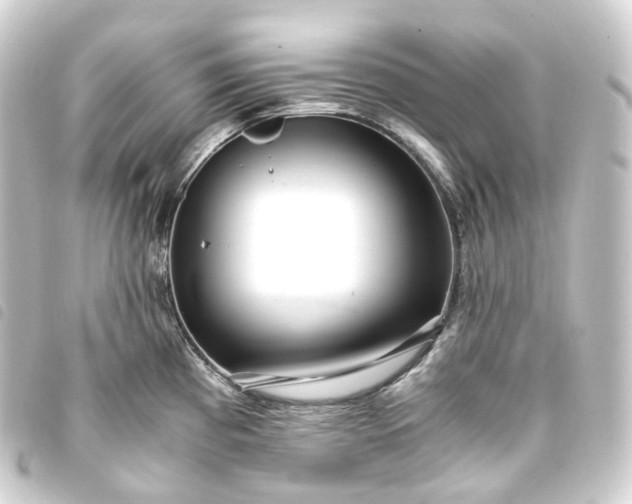 X0000093751193200710301118