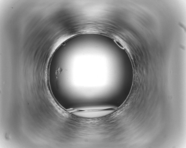 X0000093751195200710301118