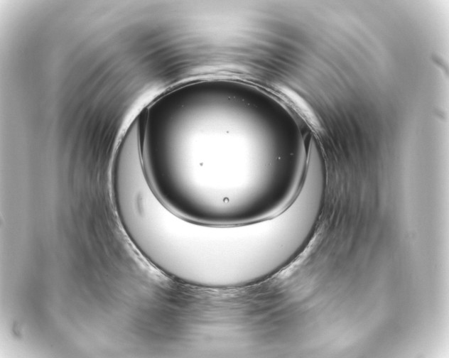 X0000093751196200710301118