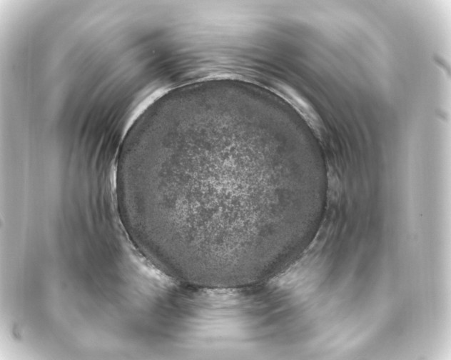 X0000093751198200710301118