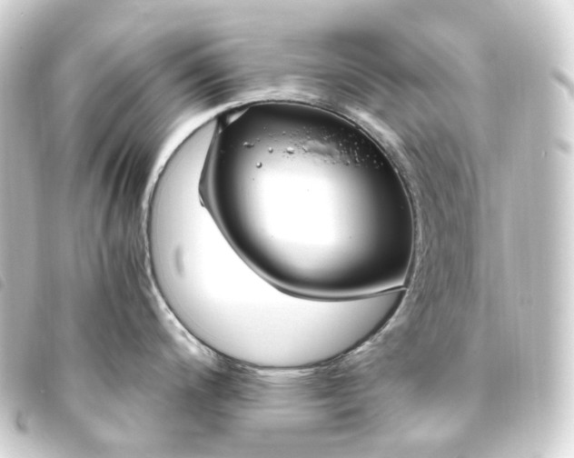 X0000093751200200710301118