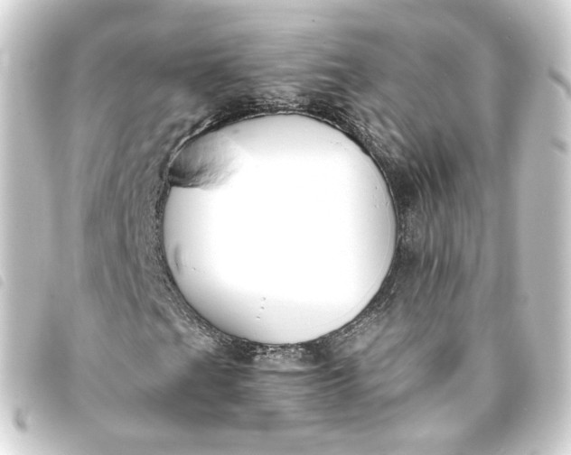 X0000093751201200710301118