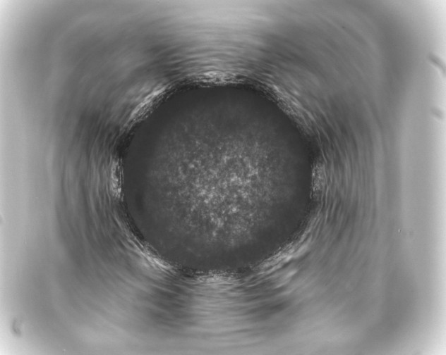 X0000093751202200710301118