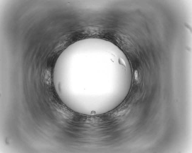 X0000093751203200710301118
