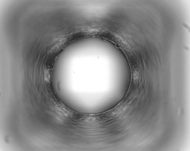 X0000093751204200710301118