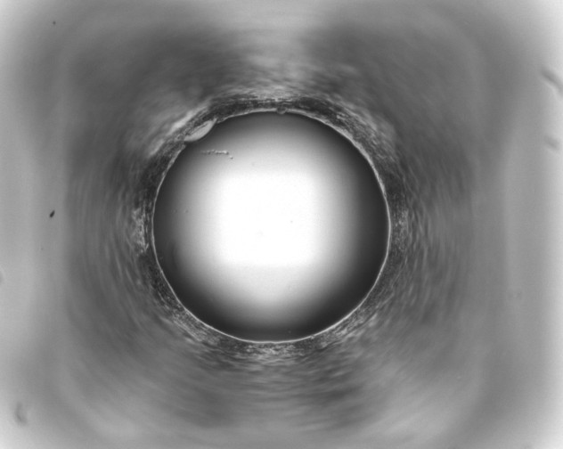 X0000093751205200710301118