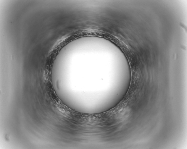 X0000093751207200710301118