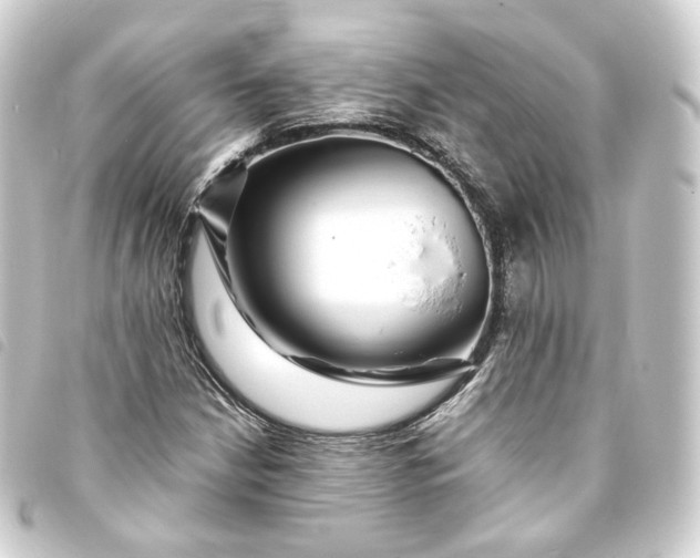 X0000093751210200710301118