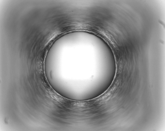 X0000093751211200710301118
