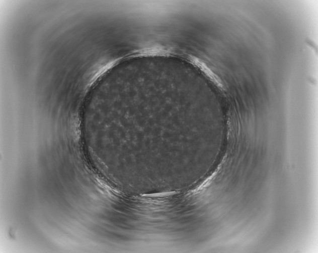 X0000093751213200710301118