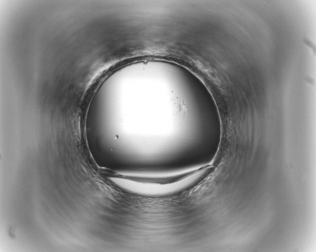 X0000093751214200710301118