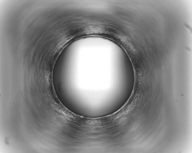 X0000093751217200710301118