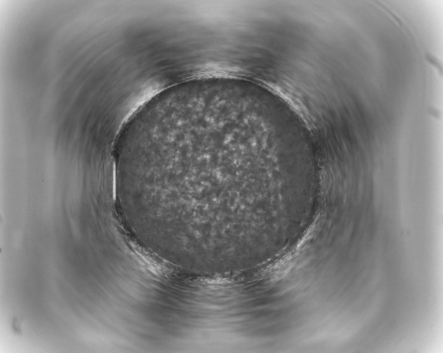 X0000093751219200710301118