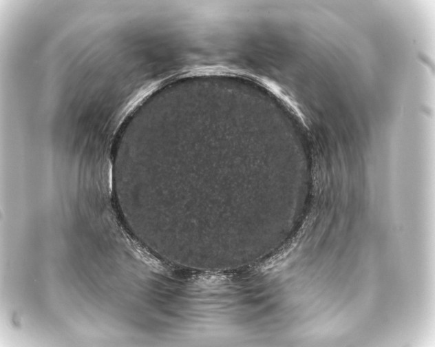 X0000093751221200710301118