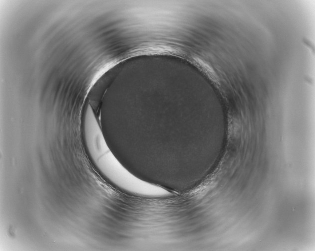 X0000093751226200710301118