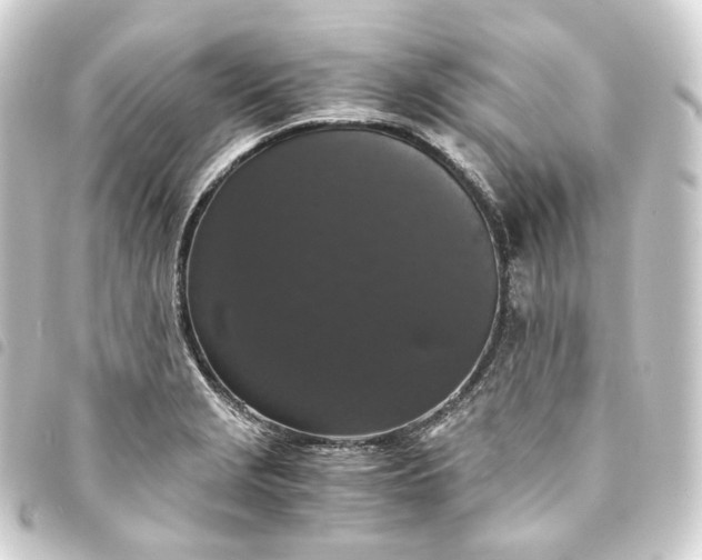 X0000093751229200710301118