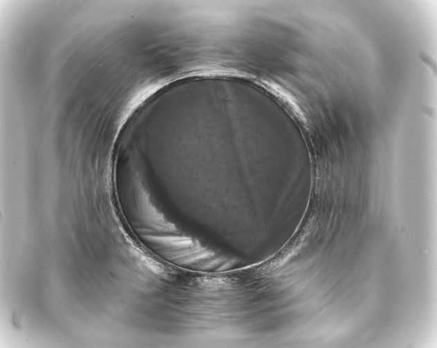 X0000093751231200710301118