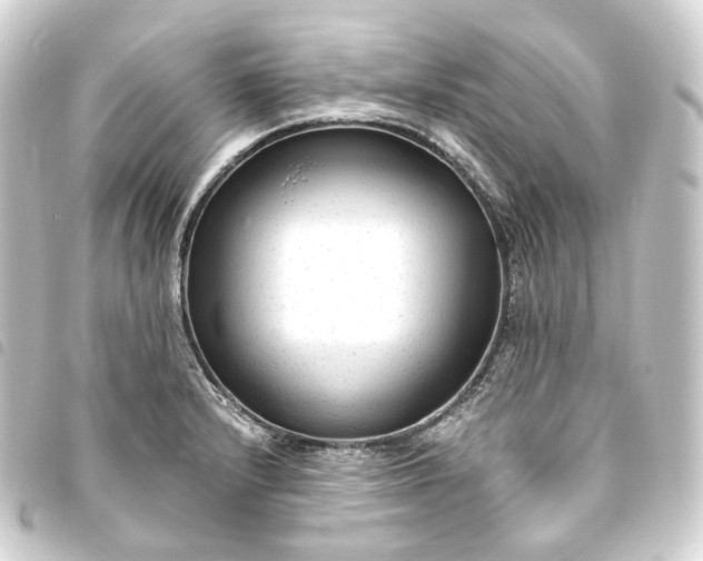 X0000093751232200710301118