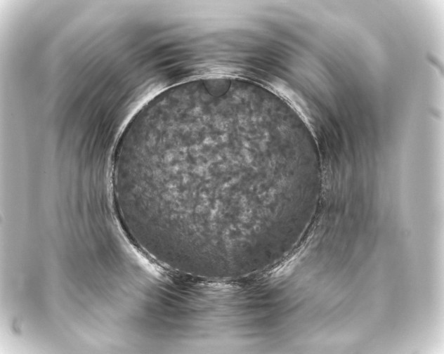 X0000093751235200710301118