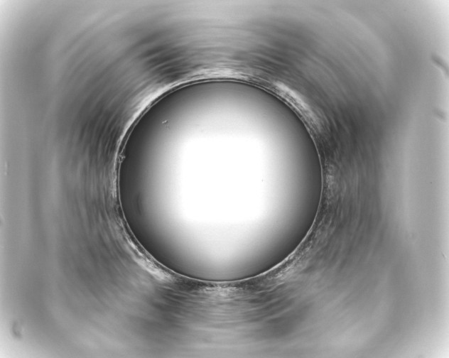 X0000093751236200710301118