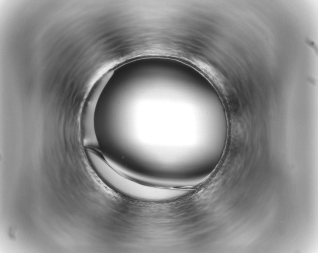 X0000093751238200710301118