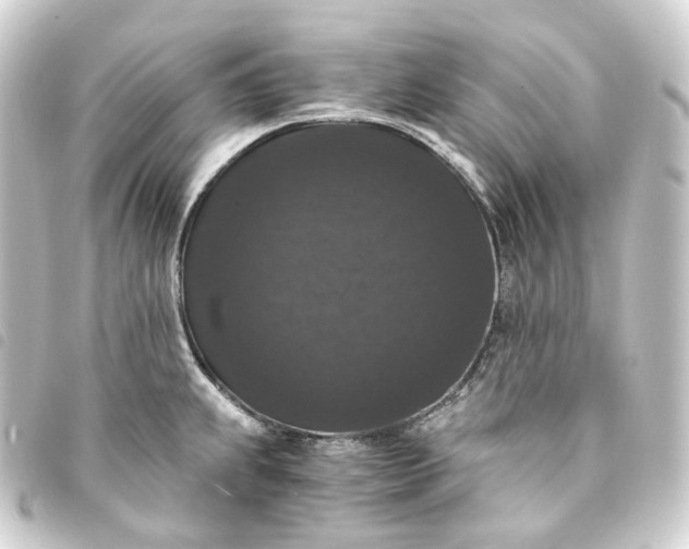 X0000093751239200710301118