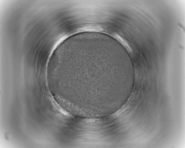 X0000093751240200710301118