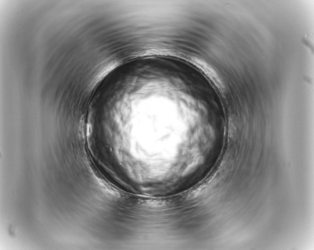 X0000093751241200710301118