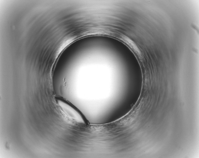 X0000093751242200710301118