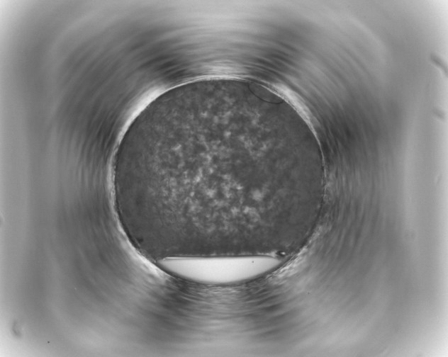 X0000093751243200710301118