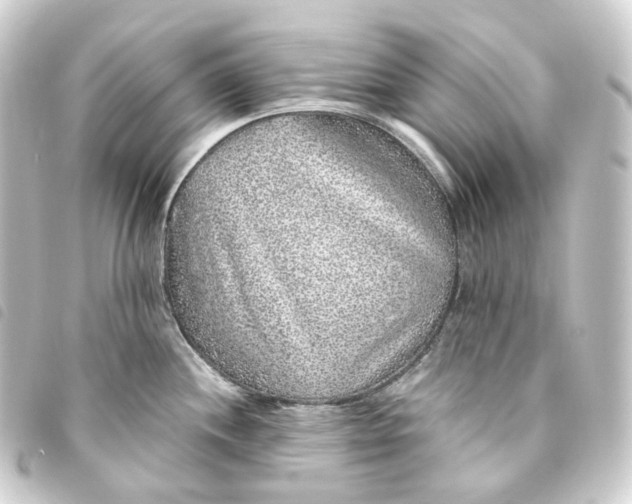 X0000093751244200710301118