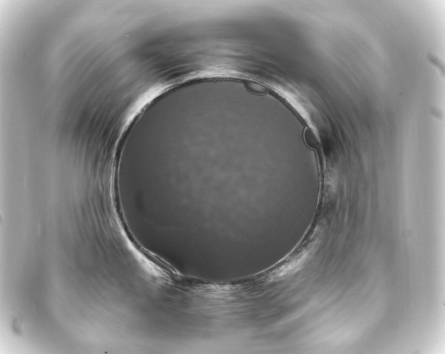 X0000093751245200710301118