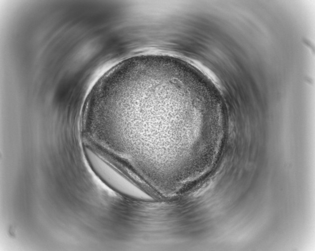 X0000093751247200710301118