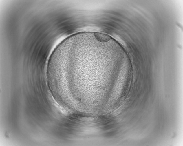 X0000093751248200710301118