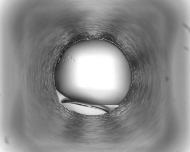 X0000093751249200710301118