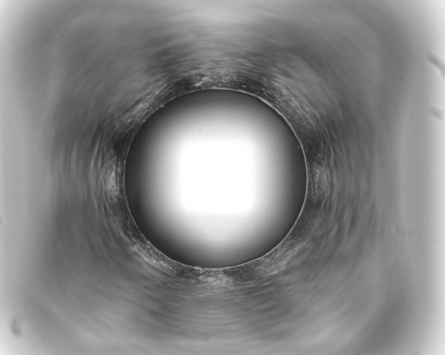 X0000093751250200710301118